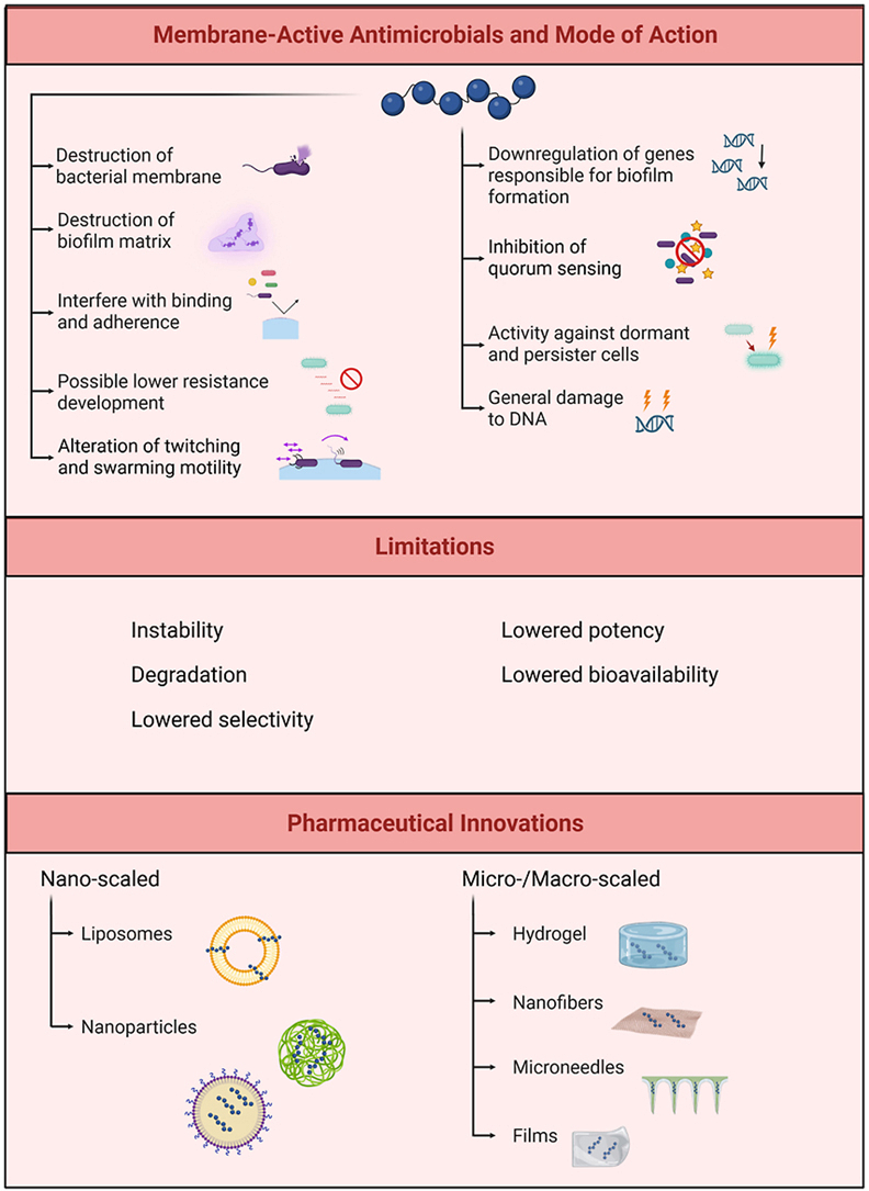 PMC12808496 – undfig1