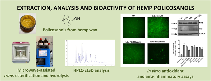 PMC11088244 – undfig1