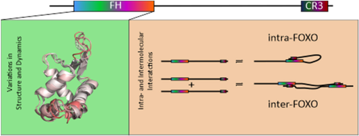 PMC9097636 – undfig1
