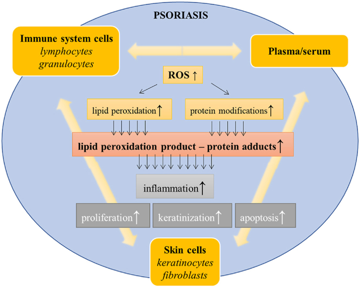 PMC10195986 – undfig1