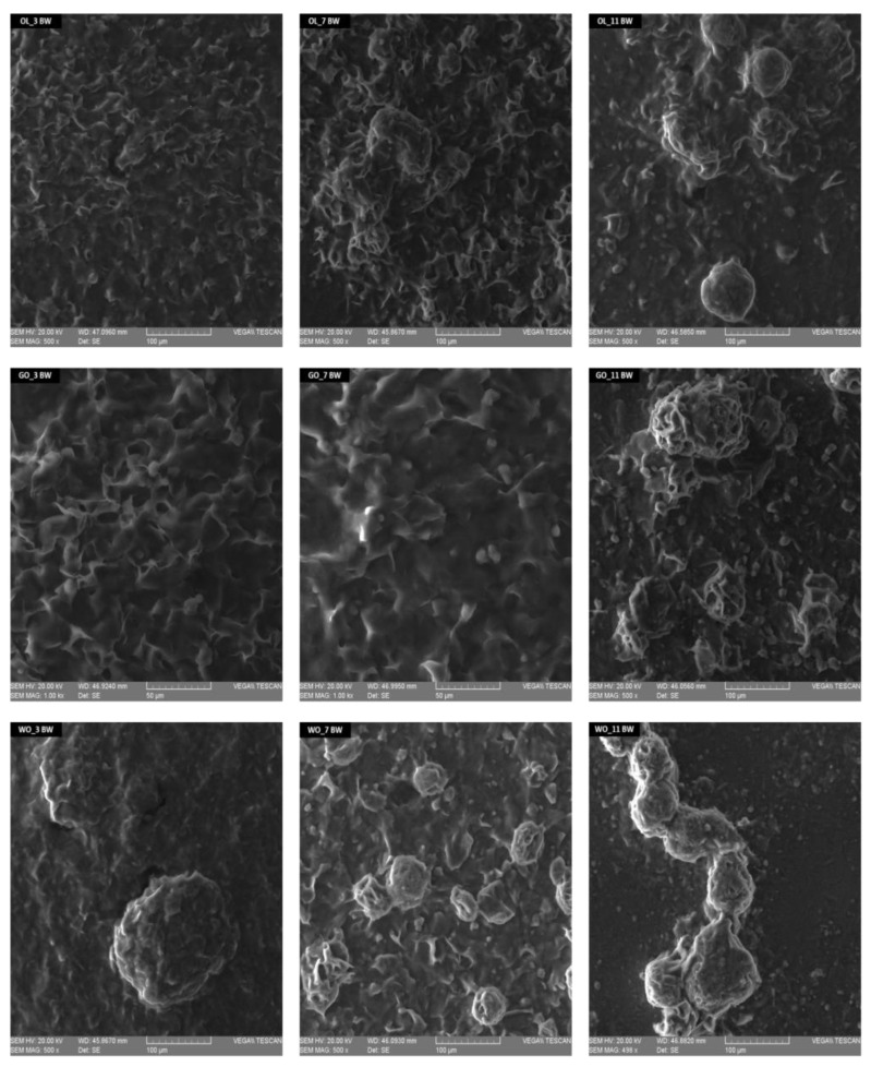 PMC10048366 – gels-09-00216-f003