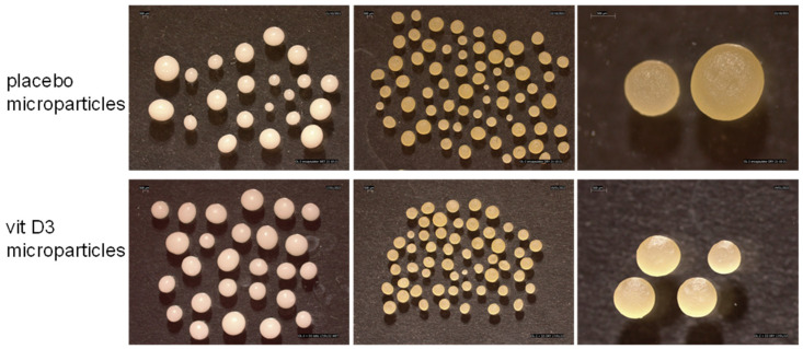 PMC10048092 – gels-09-00255-f003