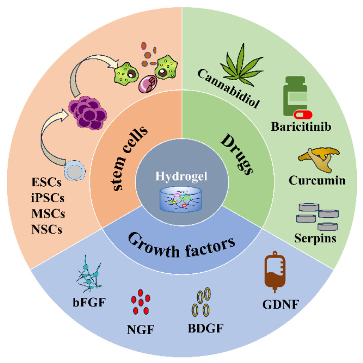 PMC10670785 – gels-09-00907-f002