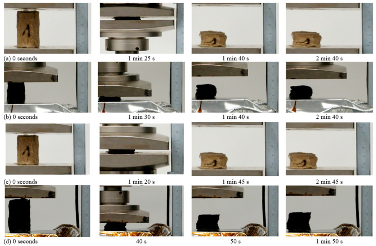 PMC10887649 – gels-10-00135-f003
