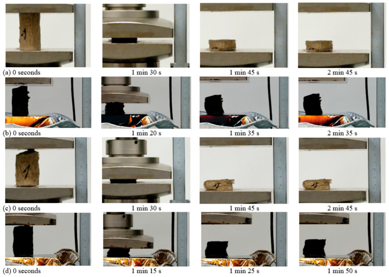 PMC10887649 – gels-10-00135-f004