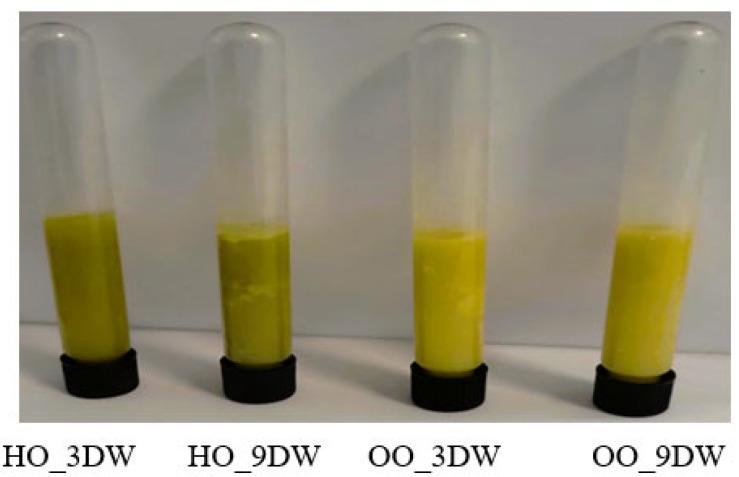 PMC11202521 – gels-10-00397-f001