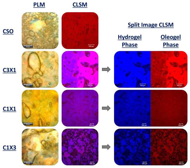PMC11507493 – gels-10-00654-f006