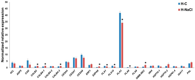 PMC5664092 – genes-08-00242-f003
