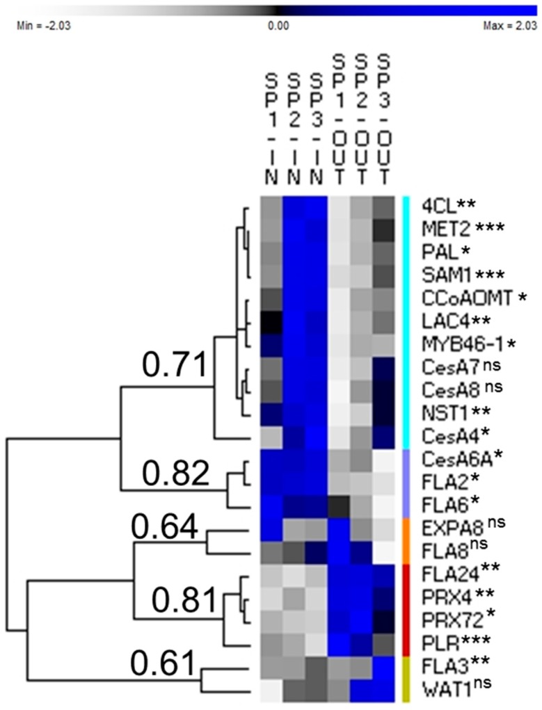 PMC5748681 – genes-08-00363-f002