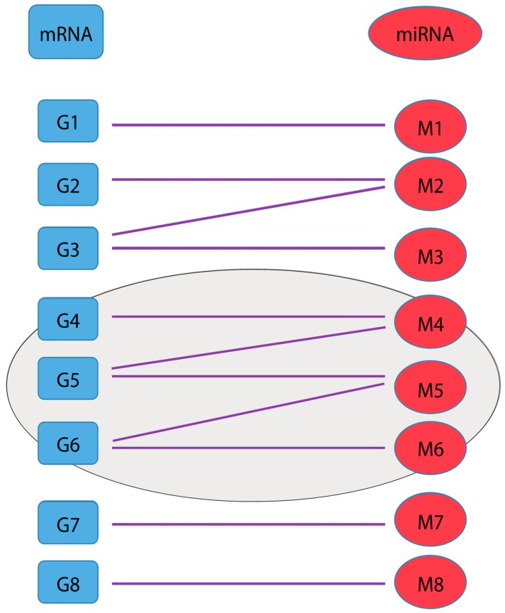 PMC6770970 – genes-10-00702-f001
