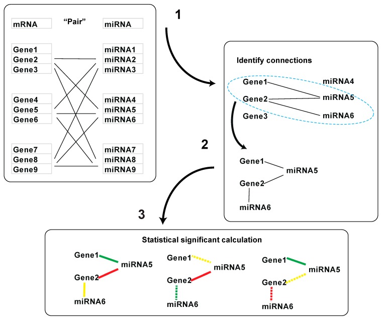 PMC6770970 – genes-10-00702-f002