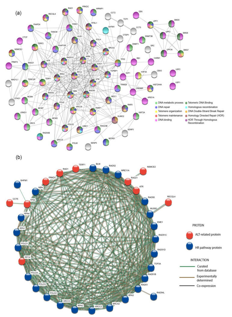 PMC7397314 – genes-11-00834-f005