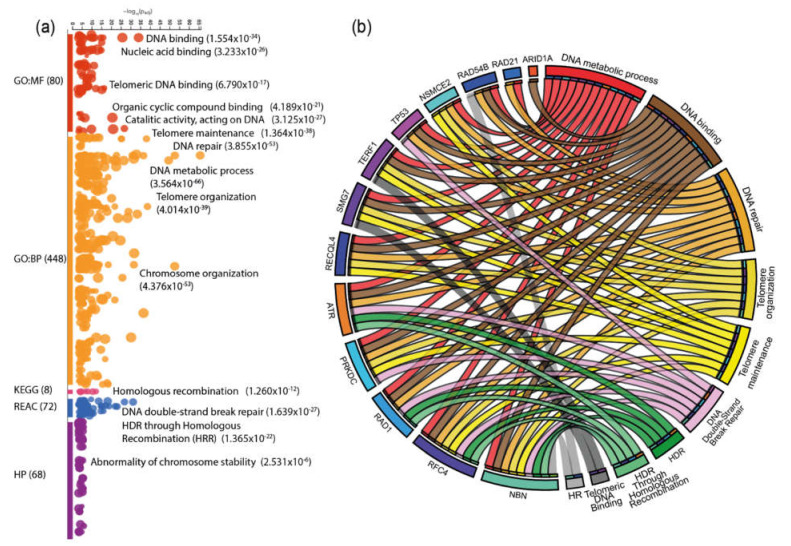 PMC7397314 – genes-11-00834-f006