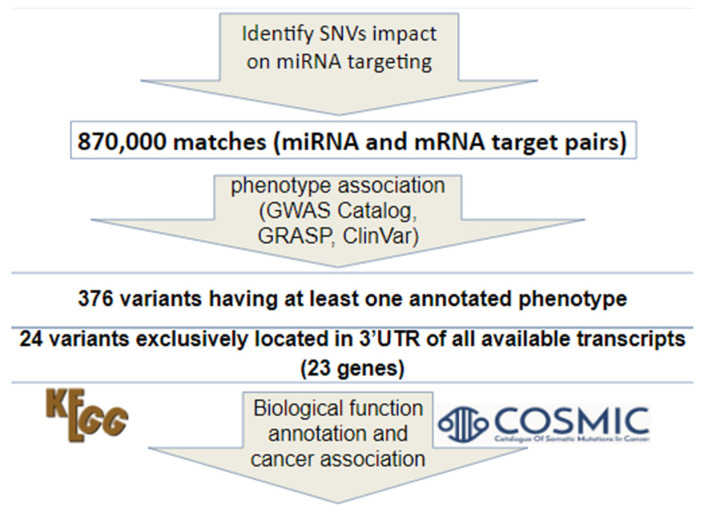 PMC7565843 – genes-11-00953-f001