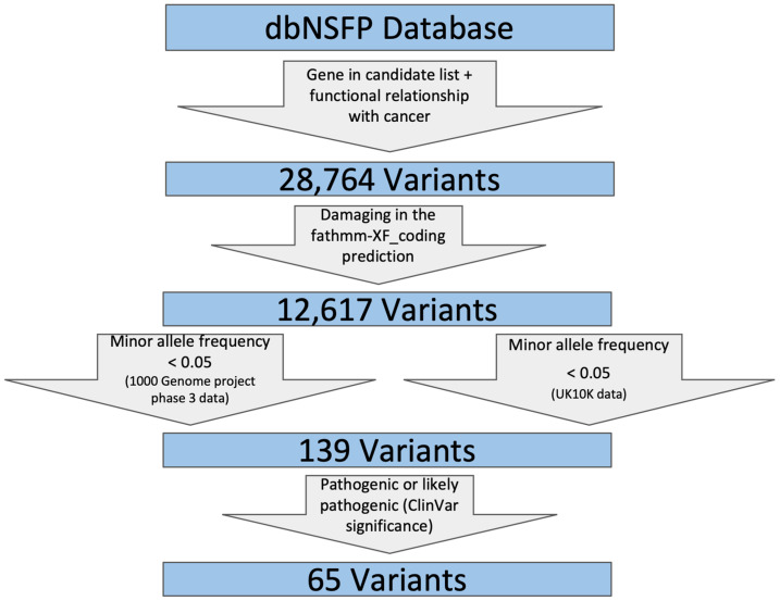 PMC7565843 – genes-11-00953-f002