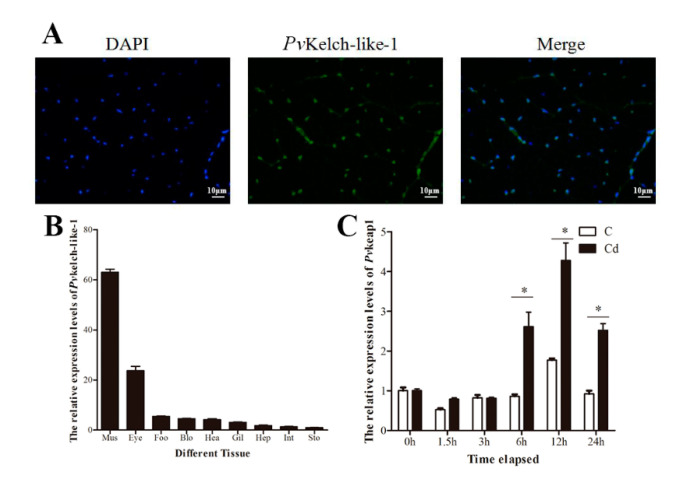 PMC7564309 – genes-11-01077-f002