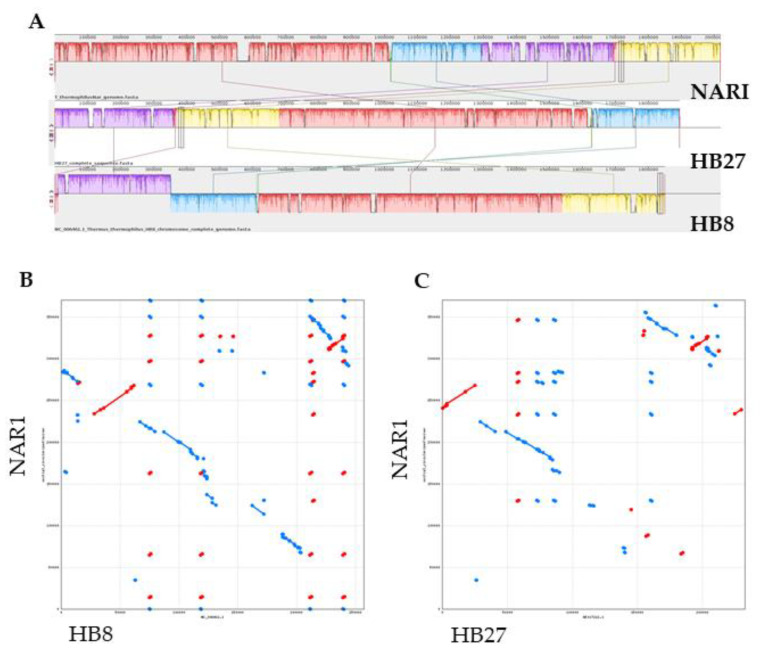 PMC7694296 – genes-11-01308-f002