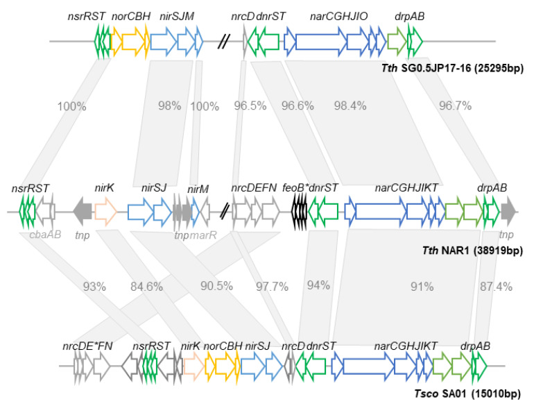 PMC7694296 – genes-11-01308-f003