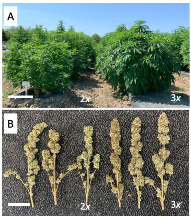 PMC8234880 – genes-12-00923-f004