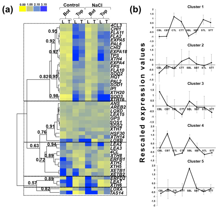 PMC8392013 – genes-12-01165-f007