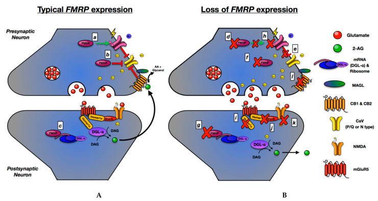PMC8394635 – genes-12-01218-f002