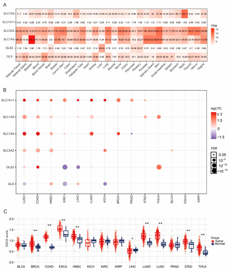 PMC8466418 – genes-12-01305-f002