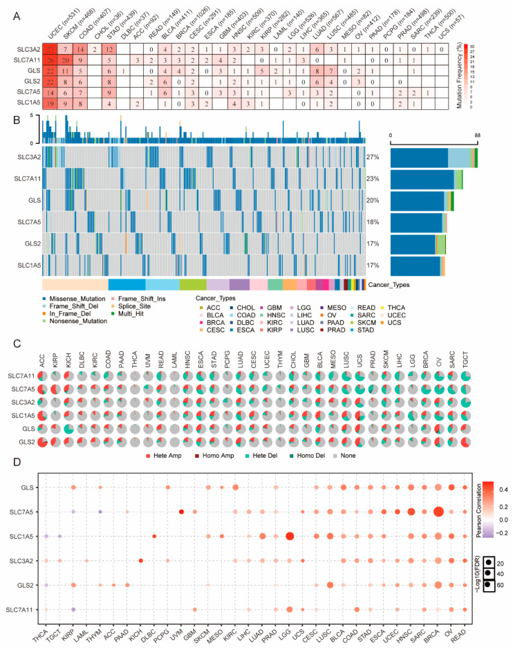 PMC8466418 – genes-12-01305-f003