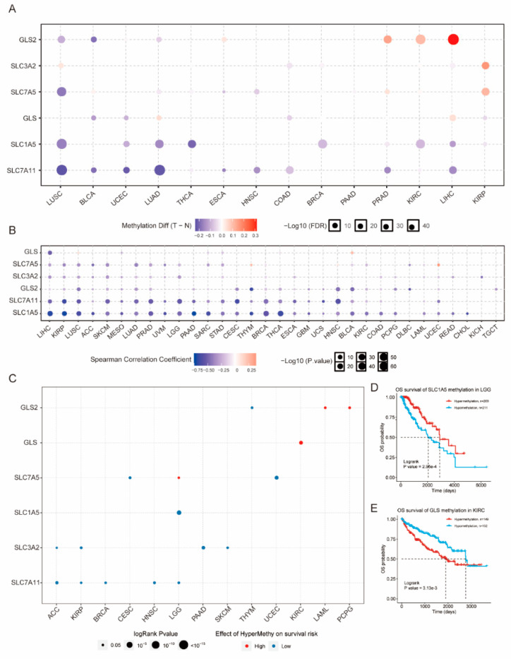 PMC8466418 – genes-12-01305-f004