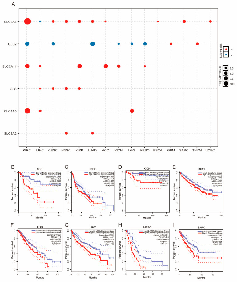 PMC8466418 – genes-12-01305-f005