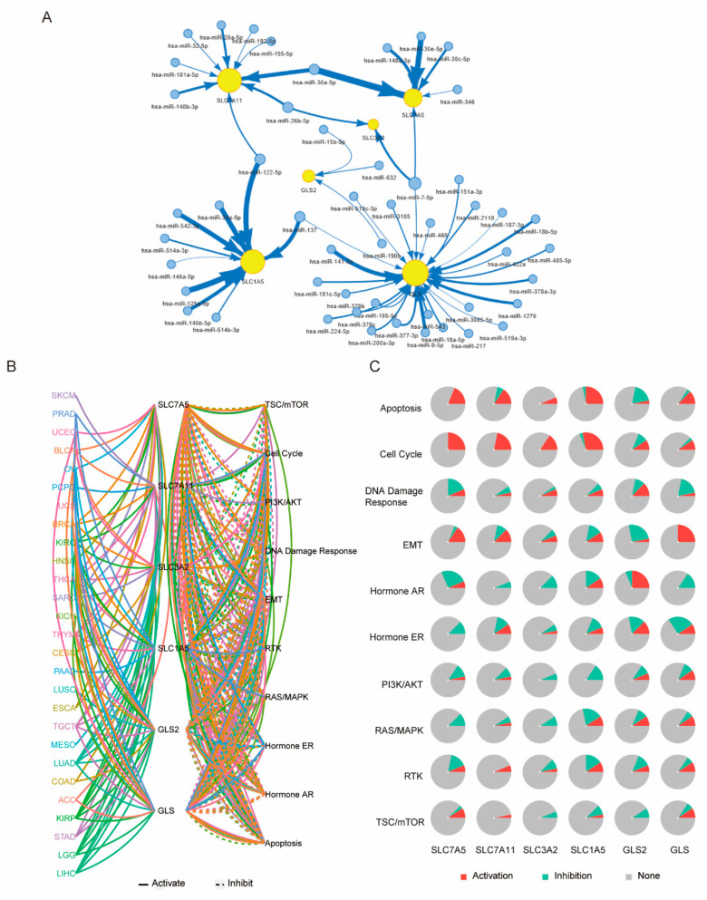PMC8466418 – genes-12-01305-f009