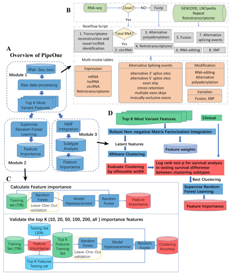 PMC8701385 – genes-12-01865-f001