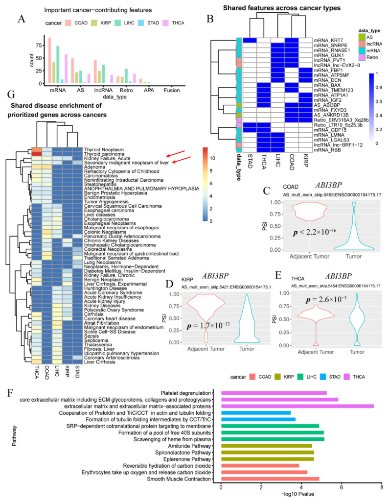 PMC8701385 – genes-12-01865-f002