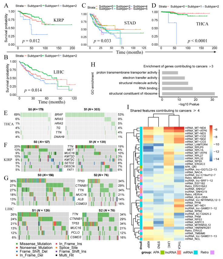 PMC8701385 – genes-12-01865-f003
