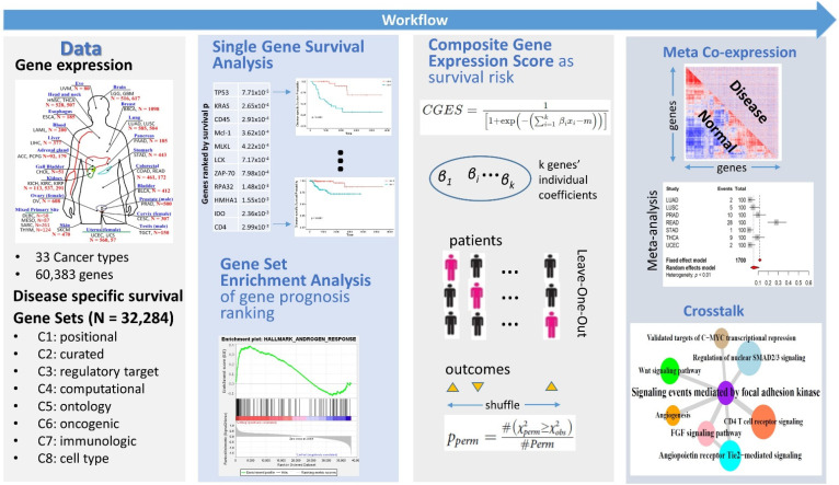 PMC9141699 – genes-13-00862-f001