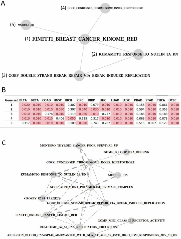 PMC9141699 – genes-13-00862-f006