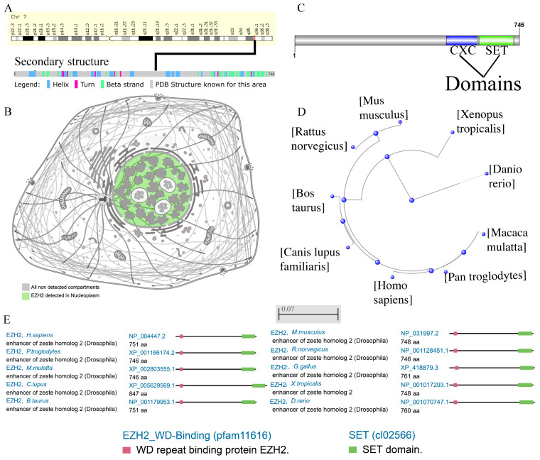PMC9141487 – genes-13-00876-f001