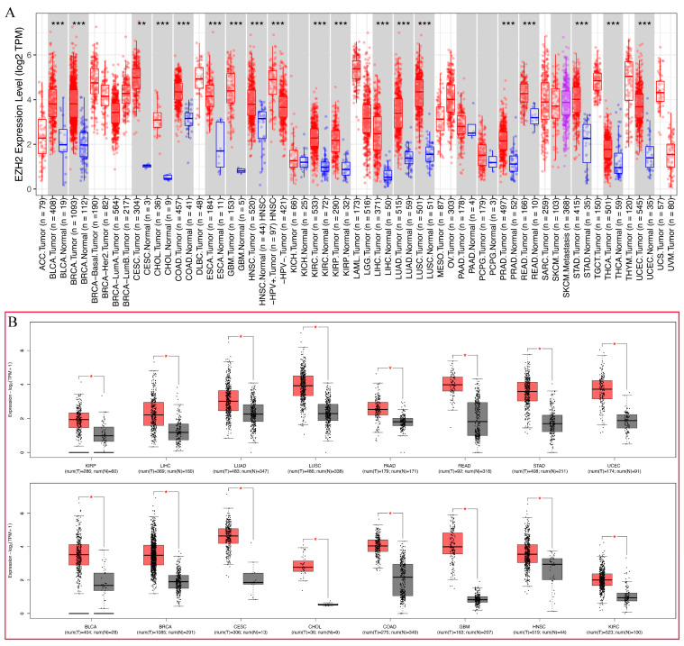 PMC9141487 – genes-13-00876-f002
