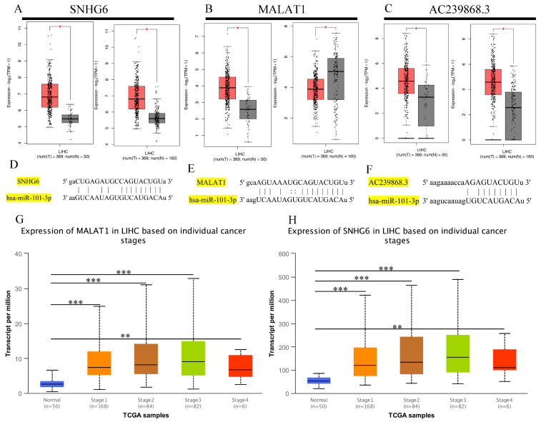 PMC9141487 – genes-13-00876-f006