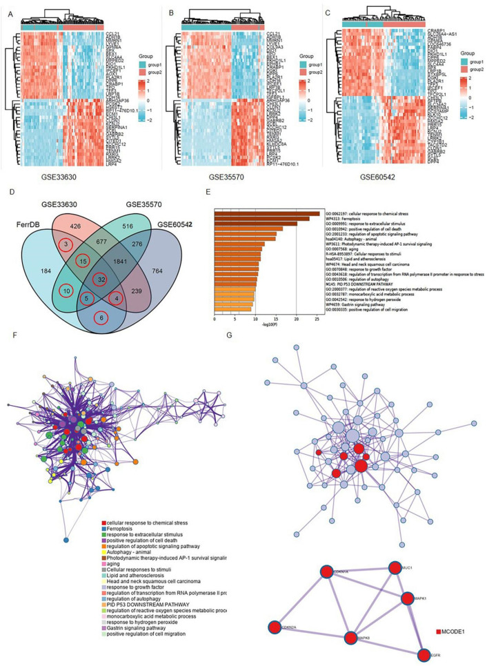 PMC9222385 – genes-13-00997-f001
