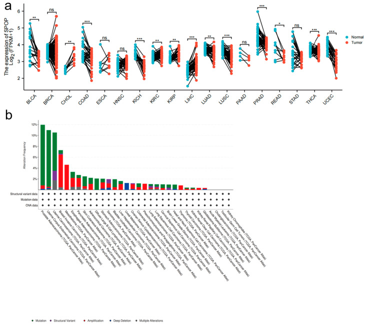 PMC9690554 – genes-13-02051-f002