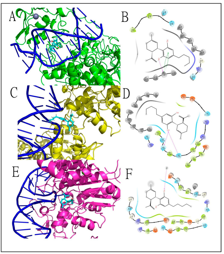PMC9690868 – genes-13-02165-f005