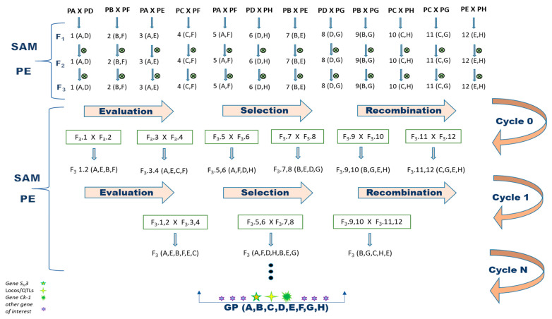 PMC9858729 – genes-14-00189-f001