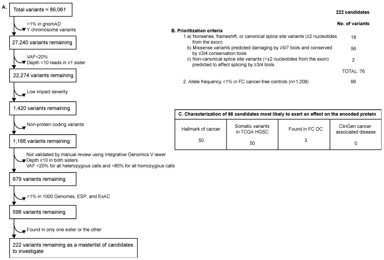 PMC9956348 – genes-14-00277-f001