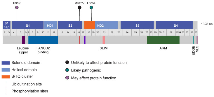 PMC9956348 – genes-14-00277-f002