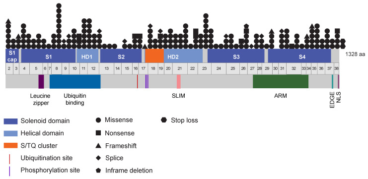 PMC9956348 – genes-14-00277-f003