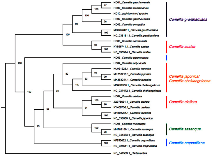 PMC10217958 – genes-14-01083-f002