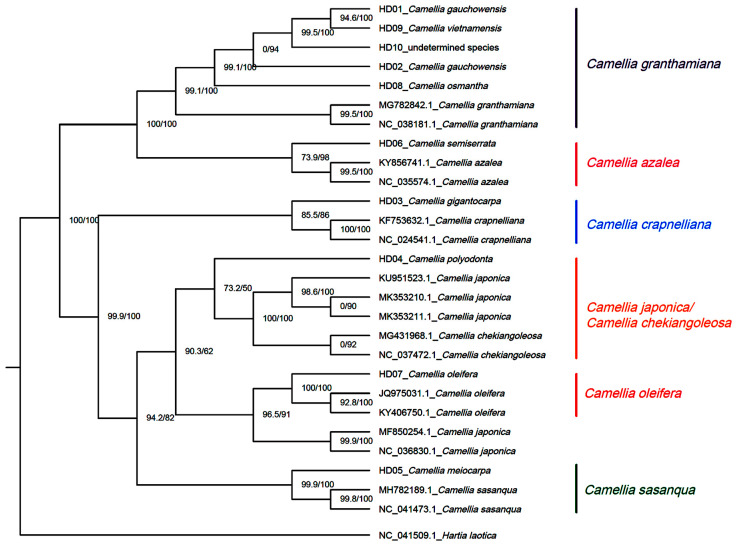 PMC10217958 – genes-14-01083-f003