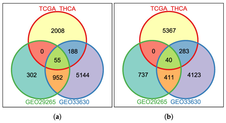 PMC10298340 – genes-14-01250-f001