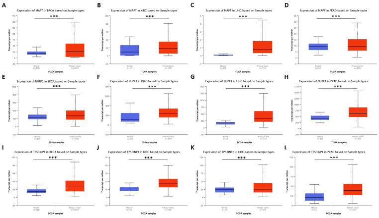 PMC10454514 – genes-14-01550-f003