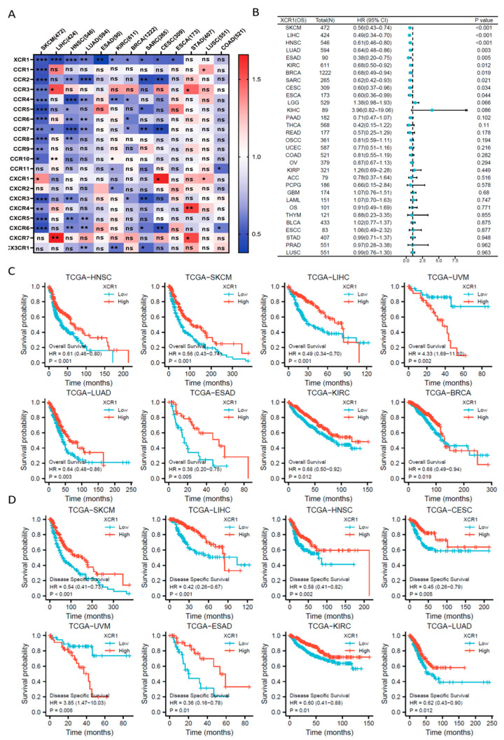 PMC10606244 – genes-14-01961-f001